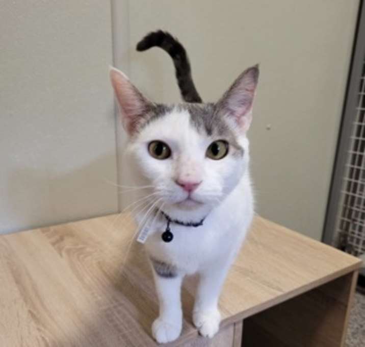 Photo of Freya