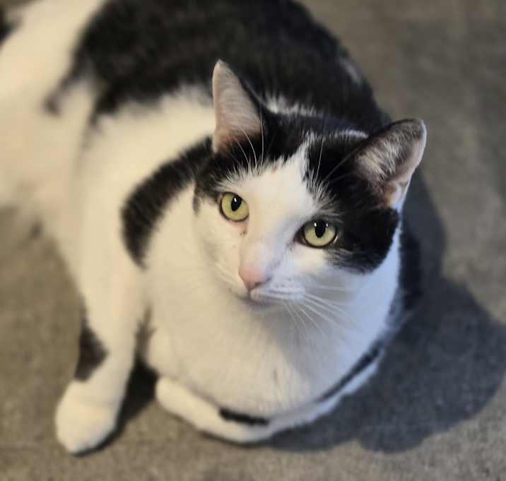 Photo of Libbie