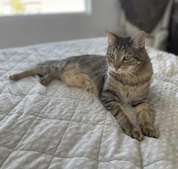 Photo of Ziggy