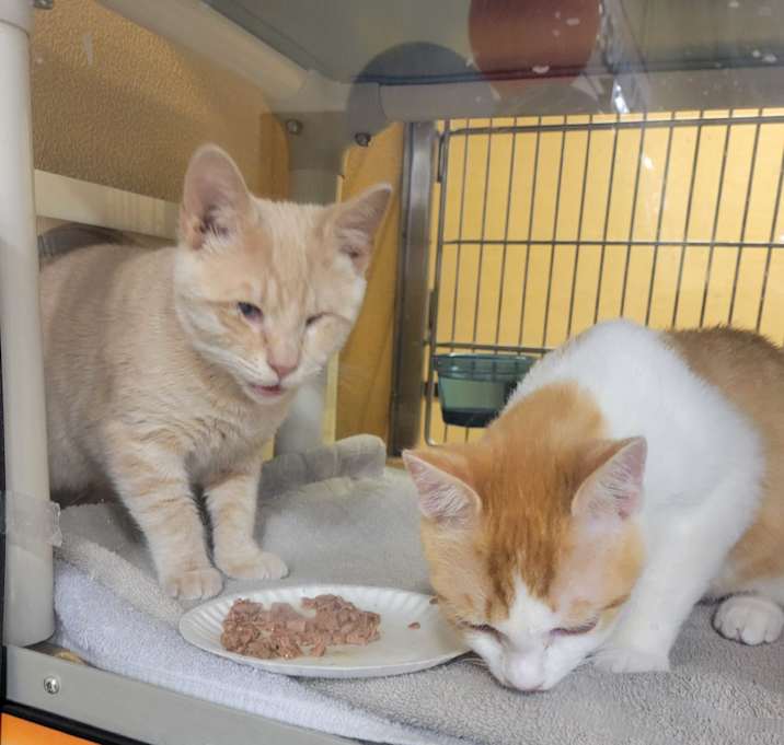 Photo of Rudy & Max