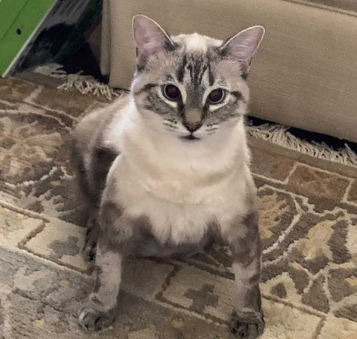 Photo of Lucy