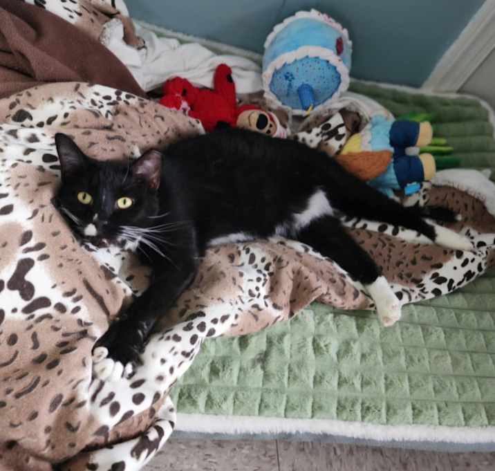 Photo of Nigel