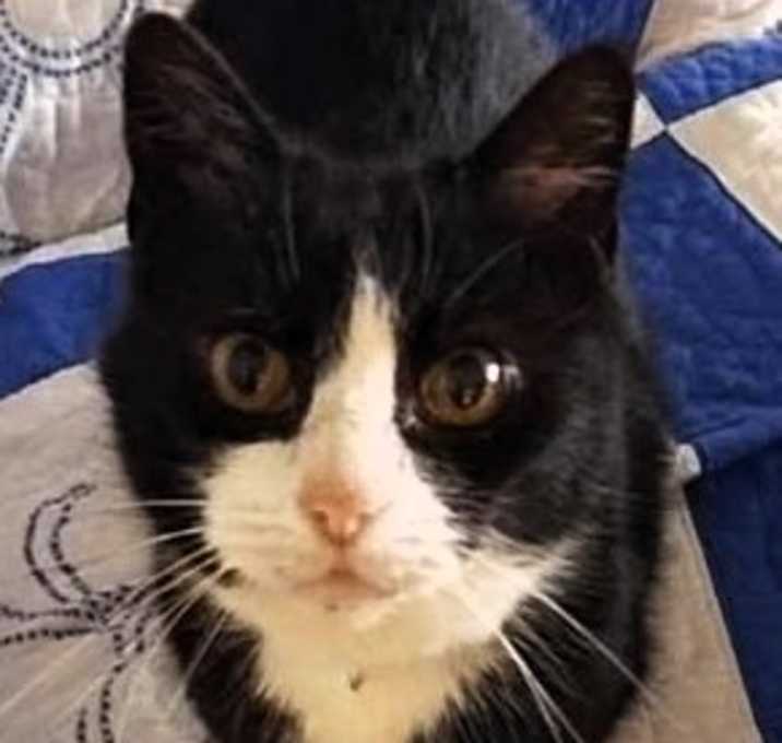 Photo of Coco