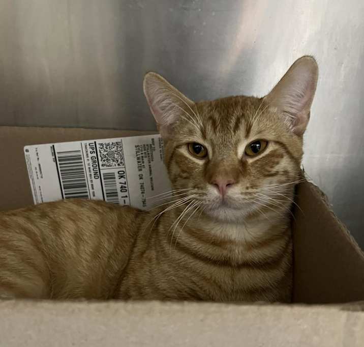 Photo of Lucky