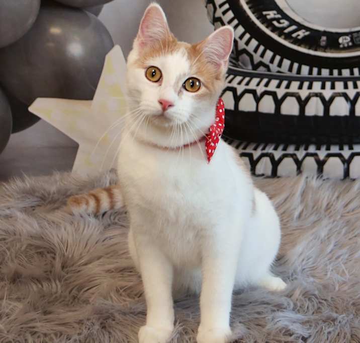 Photo of Squeaky
