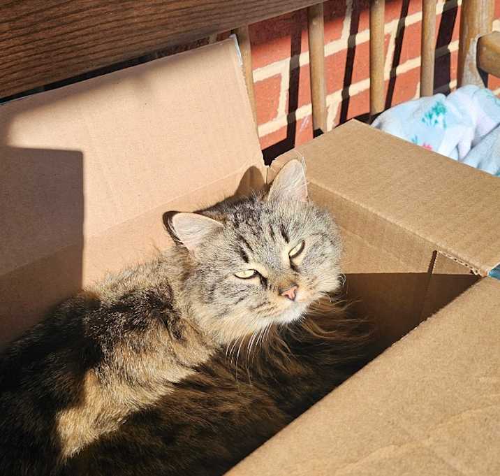 Photo of Sweetie