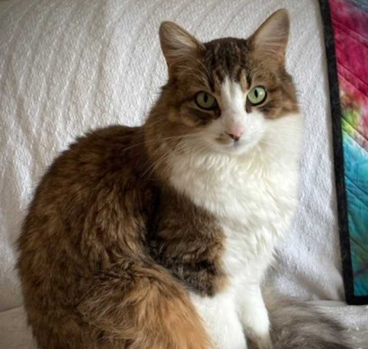 Photo of Candy