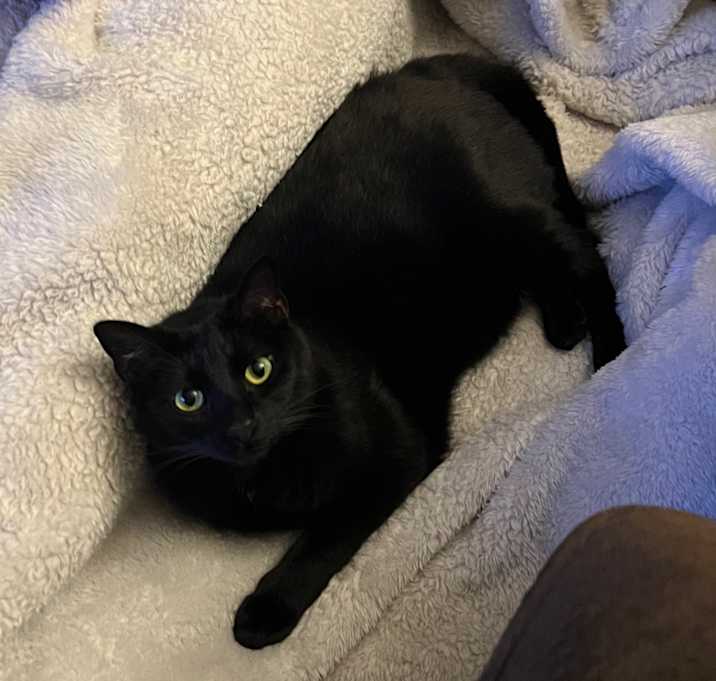 Photo of Miss Lady