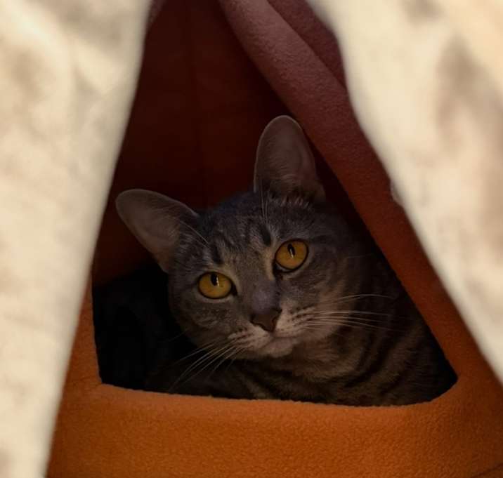 Photo of Astrid