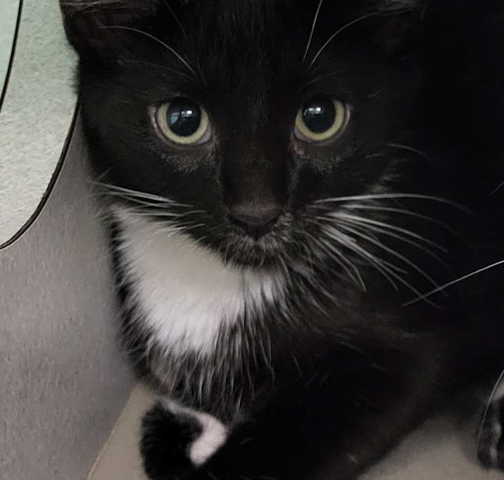 Photo of Fiyero