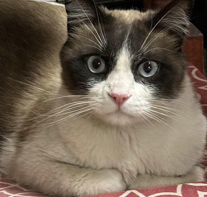 Photo of Zack