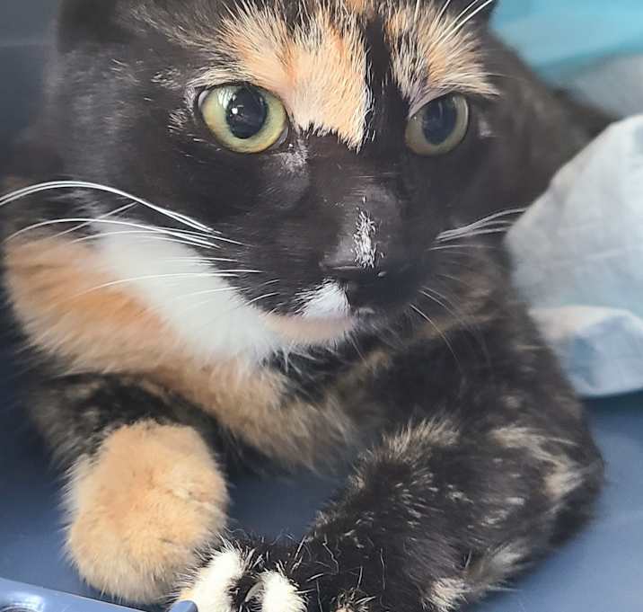 Photo of Sandy