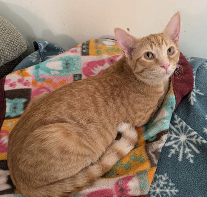 Photo of Melodie's OMalley