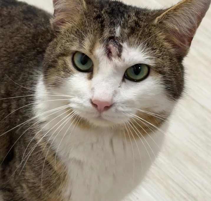 Photo of Woobie