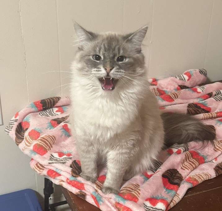 Photo of Tom
