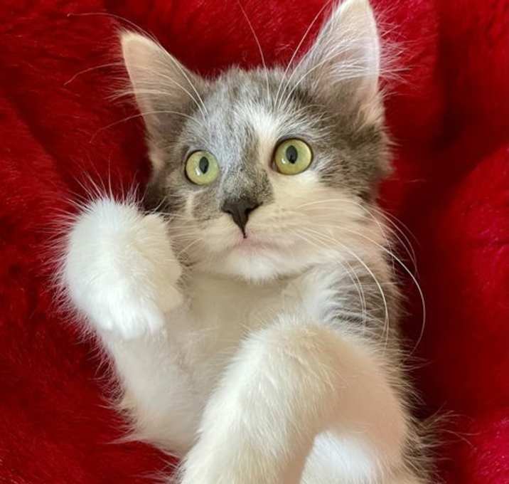 Photo of Thelma