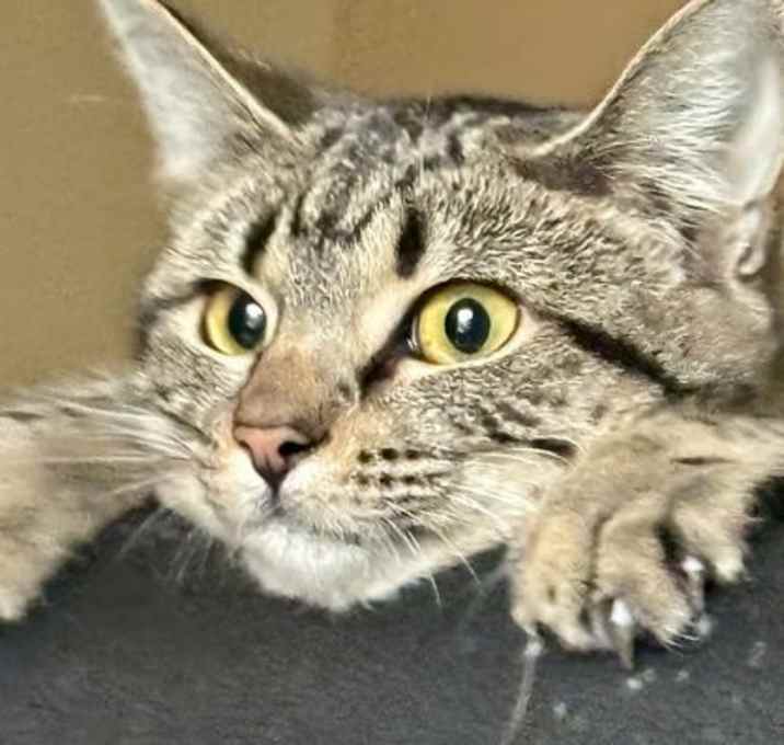 Photo of Fiona