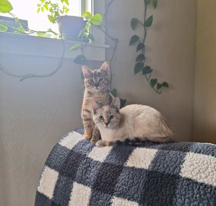 Photo of Iris and Ivy