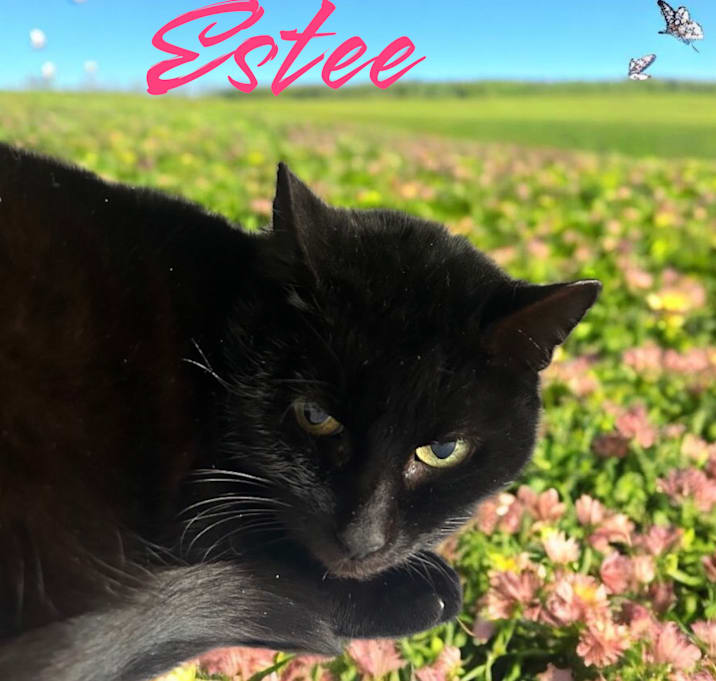 Photo of Estee