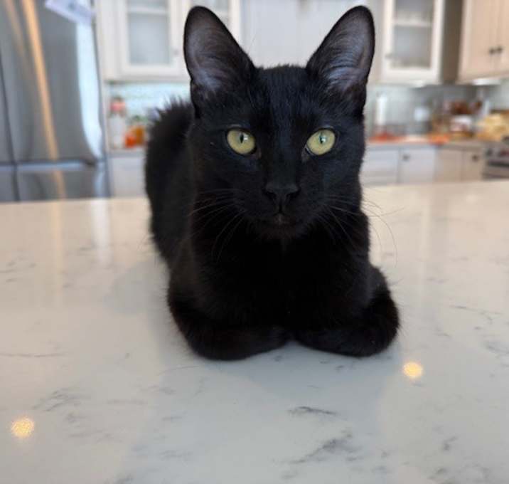 Photo of Nicholas