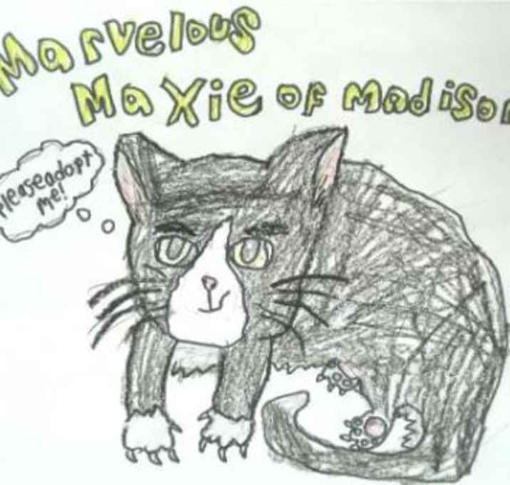 Photo of Marvelous Maxie of Madison - A