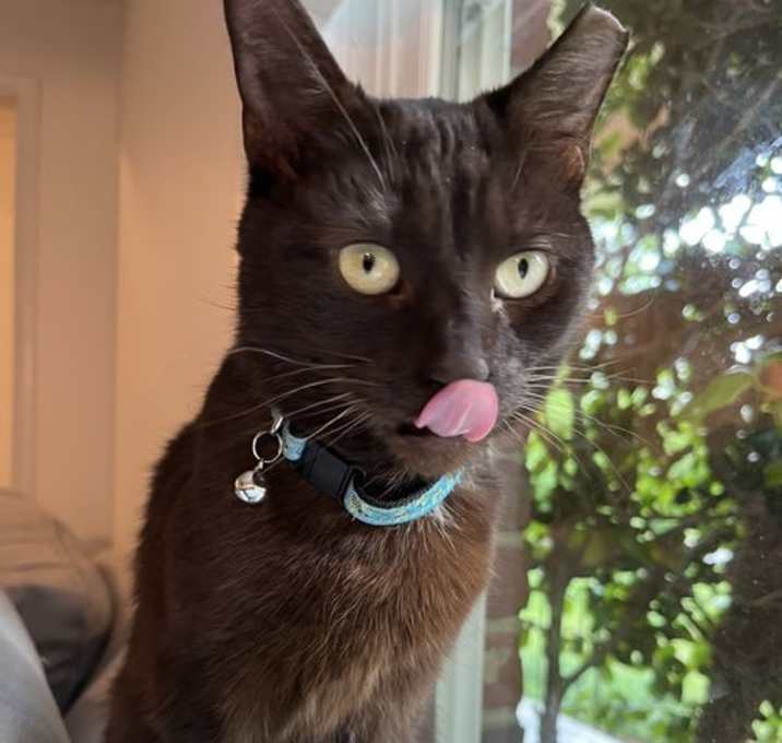 Photo of Ruby