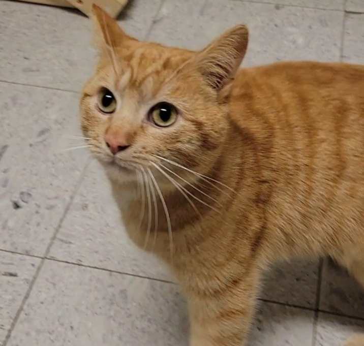 Photo of MONTE