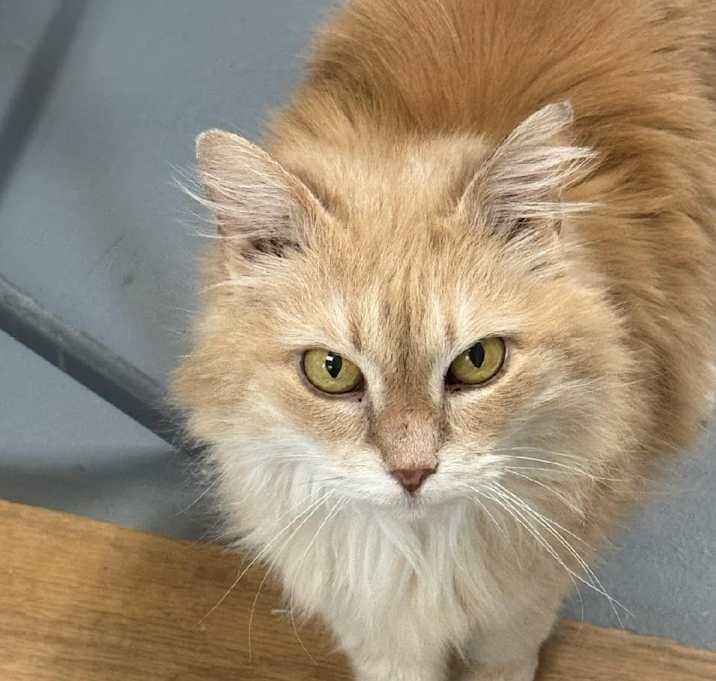 Photo of Candy