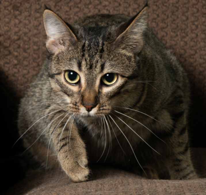 Photo of Kassy