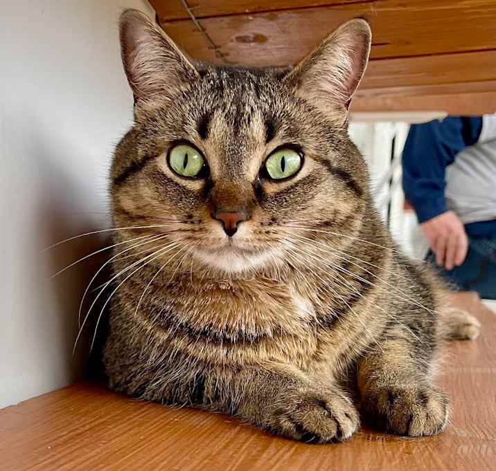 Photo of Miss Who