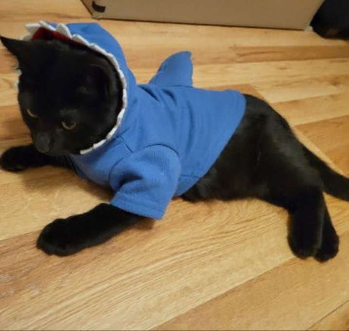 Photo of Chuck
