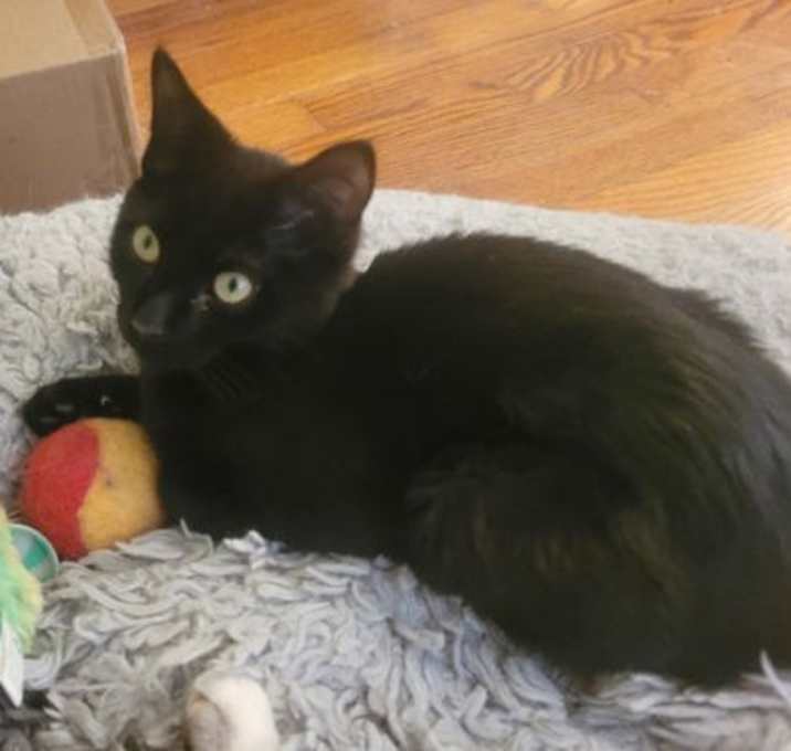 Photo of Cosette