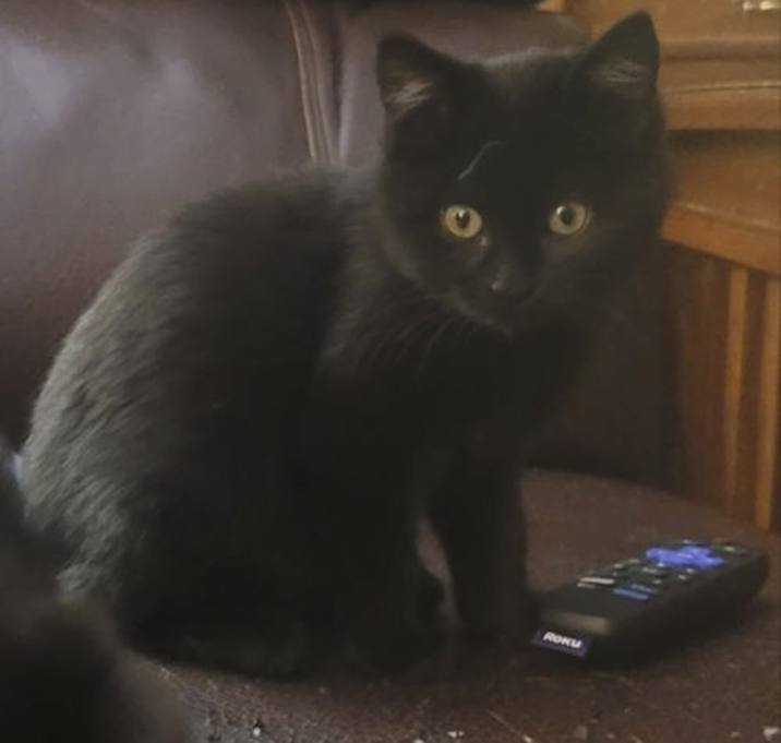 Photo of Alphonse