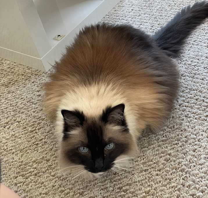 Photo of Chloe