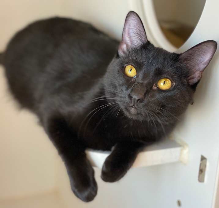 Photo of Uno