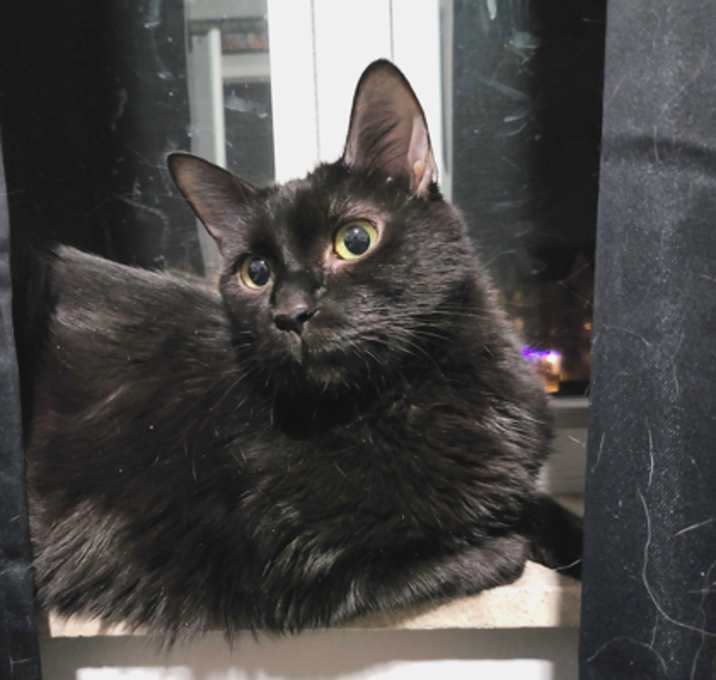 Photo of Payton