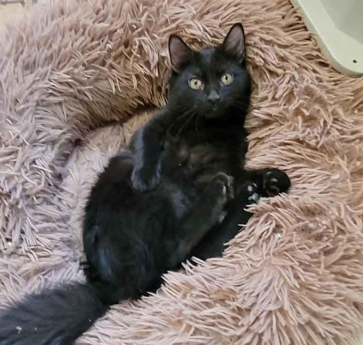 Photo of Bob
