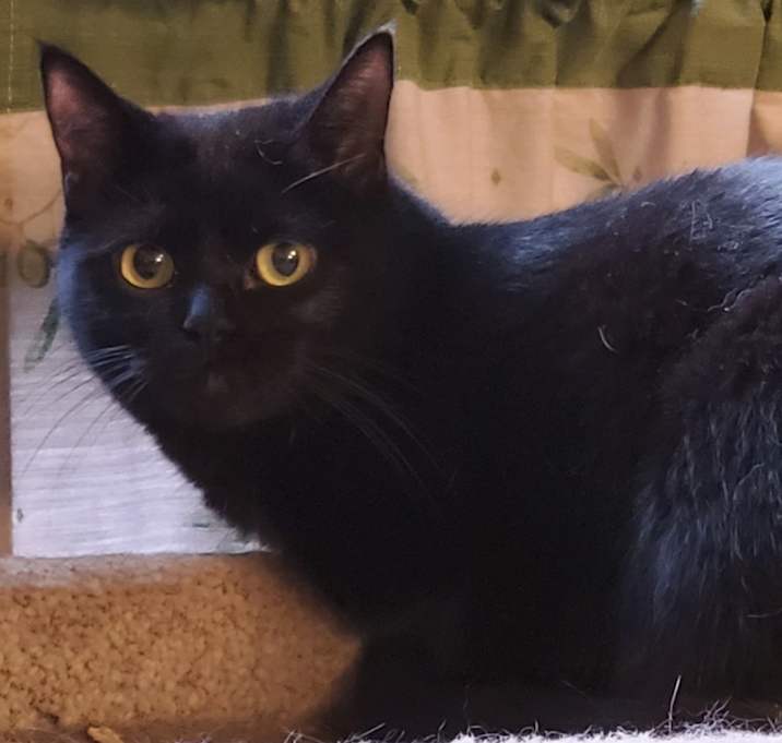 Photo of Leah