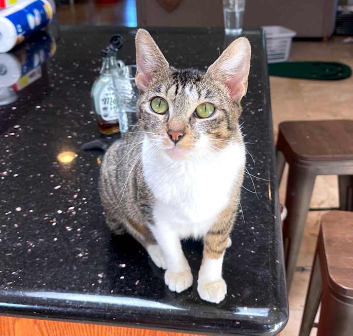 Photo of Kiva