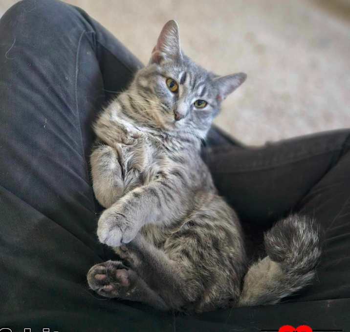 Photo of Sylvie