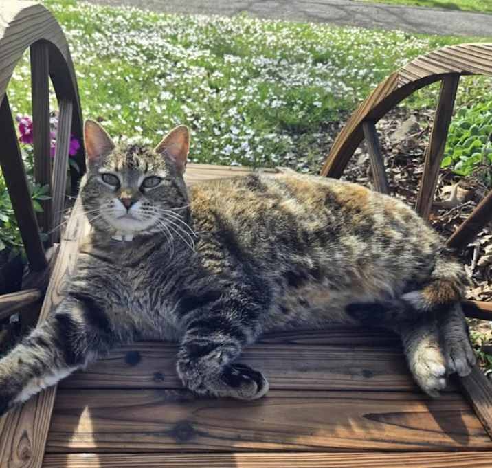 Photo of Lily