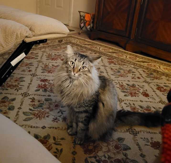 Photo of Stinker