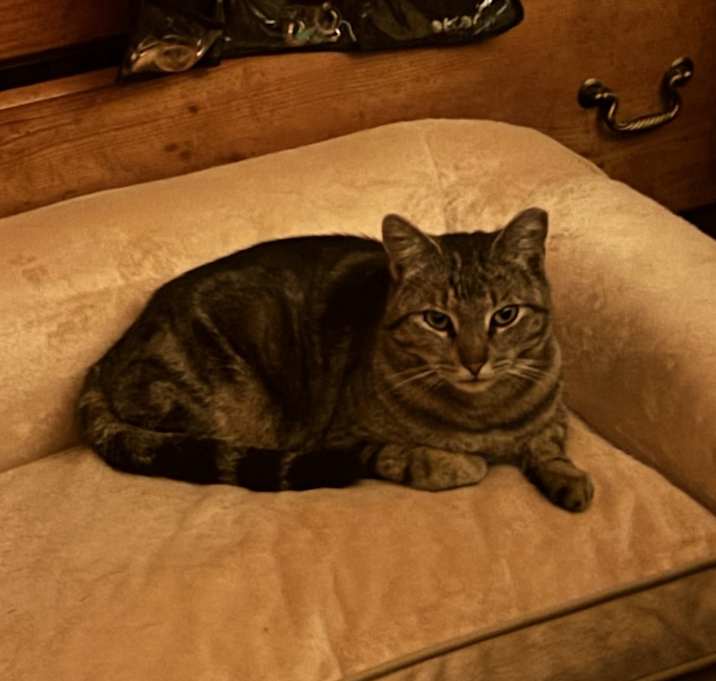 Photo of Randy