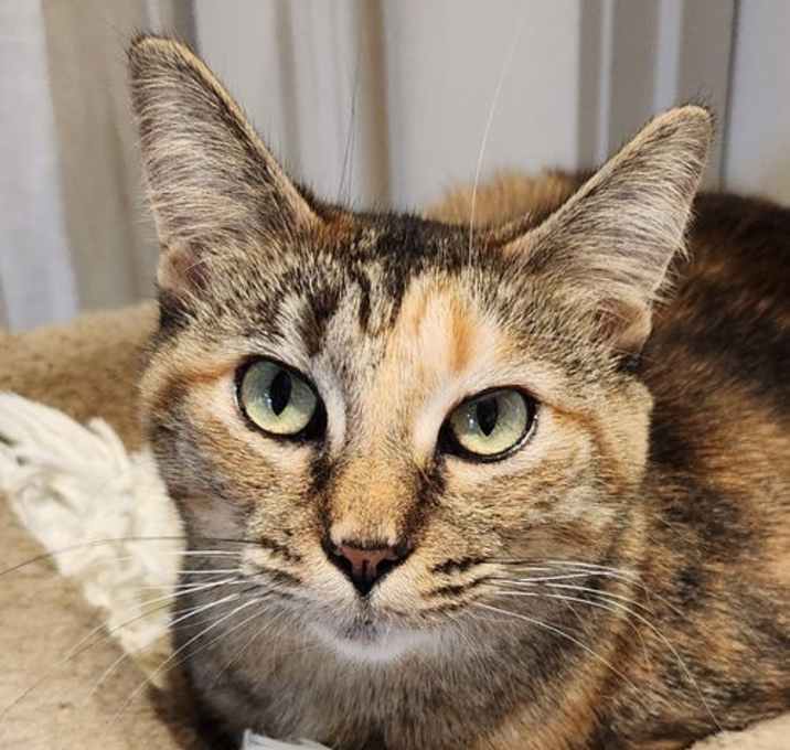Photo of Charlotte