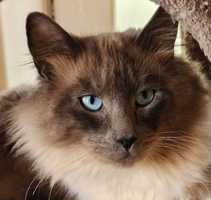 Photo of Jack