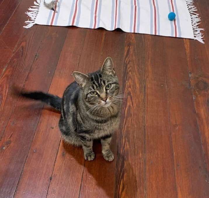 Photo of Blair Witch