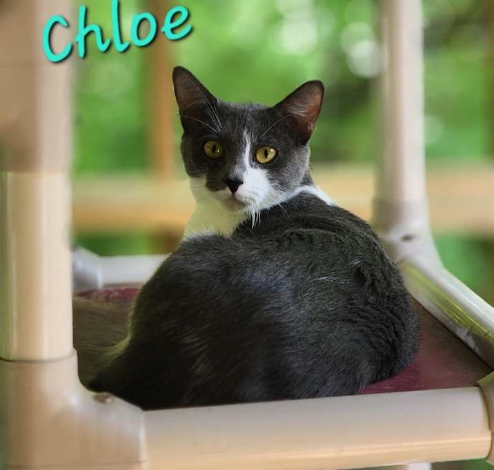Photo of Chloee