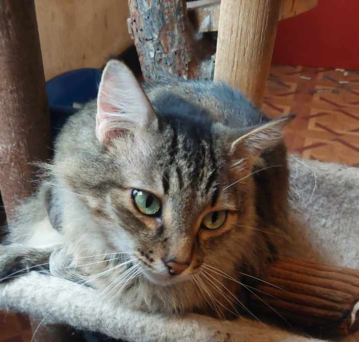 Photo of Ragnar