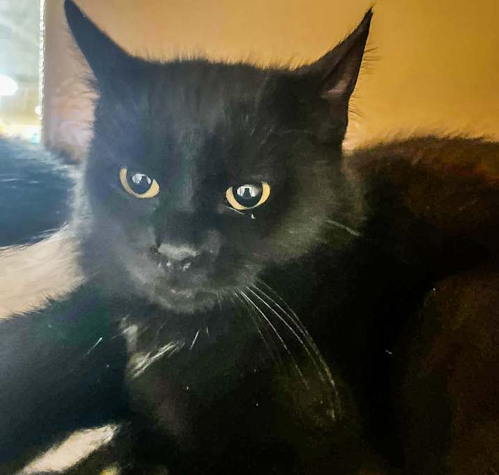Photo of Gigi