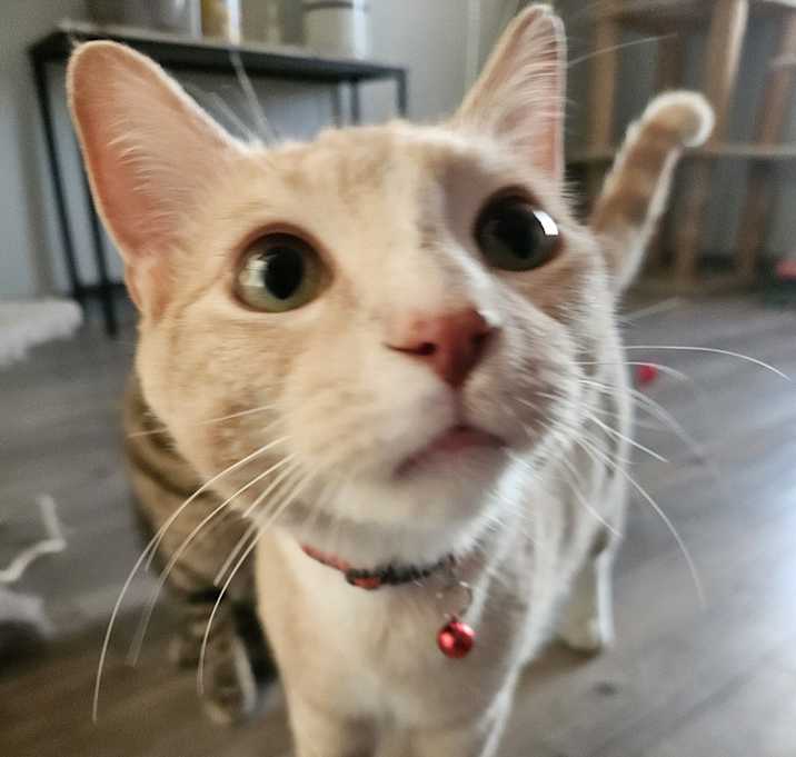 Photo of David